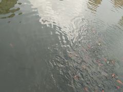 -迎泽公园
