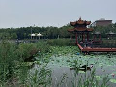 -人民公园(黄骅市)