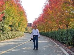 -南京枫彩漫城