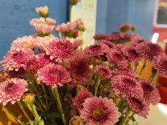 -木王宴语·野生鲜菌火锅(玉河店)