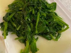 清炒豆苗-梅龙镇酒家(南京西路总店)