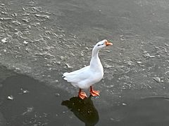 -迎泽公园