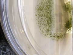 -茶肆(袁家村店)