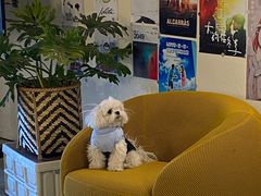 -Dinoo 片场咖啡(酒仙桥店)