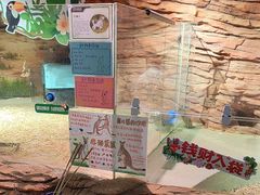 -正佳雨林生态植物园