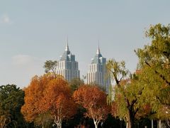 -中山公园