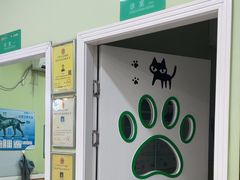 -瑞鹏宠物医院·夜间急症·心超·猫科(祖庙分店)