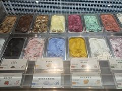 -iceason爱茜茜里·意大利健康冰淇淋(骑龙巷店)