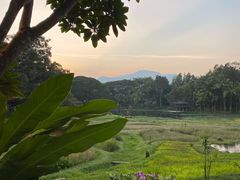 -四季酒店下午茶