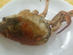 -莲花公园煎蟹(总店)
