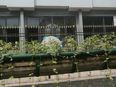 -杨浦温水游泳池