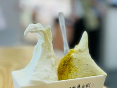 -野人先生Gelato(上海长宁龙之梦店)