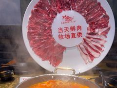 -手选潮汕鲜牛肉火锅(二七广场店)