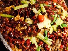 -老板恋上鱼(高新万达店)