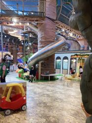 -卡通尼·Safari非洲探索乐园·生日会(金桥国际商业广场店)