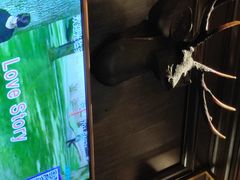 -骑士KTV(红谷滩万达店)
