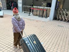 -龙阳路磁悬浮列车总站-停车场