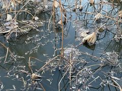 -天佛风景名胜区