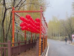 -游子山休闲旅游区