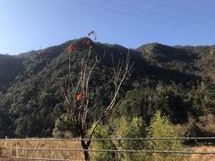 -楠溪江石桅岩