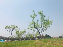 -江阴敔山湖公园