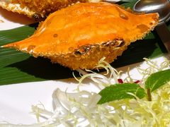 黄金蟹甲-蔡澜点心·粤菜(花城汇南区店)