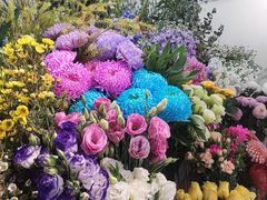 -MCJ-花店(西罗园店)