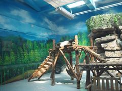 -大青山野生动物园