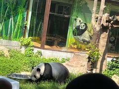 -南昌动物园
