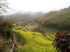-灵山景区梯田