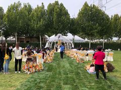 -九十九顶毡房(阜石路店)