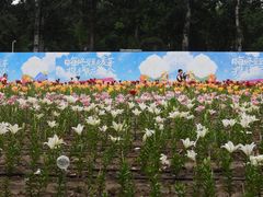 -中国农业博物馆