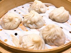 鲜肉小笼-苏小柳手工点心(人民广场分院)