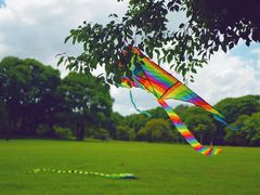 -福建鲤鱼洲酒店