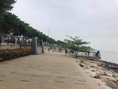 -福田红树林生态公园
