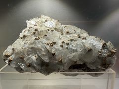 -甘肃地质博物馆