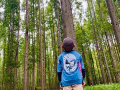 -黄海国家森林公园