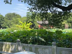-丝绸小镇荻港古村