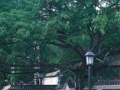 -墨池公园