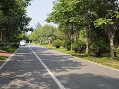 -泗洪洪泽湖湿地景区