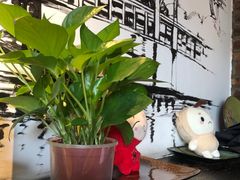 -湘邻呷铺·田园家宴(汉基广场店)