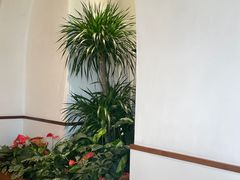 -Peet's Coffee皮爷咖啡(上海长风大悦城店)