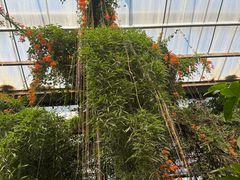 -呀路古热带植物园