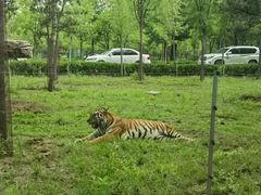 -秦皇岛野生动物园