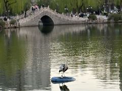 -文瀛公园