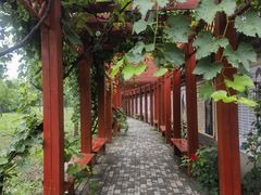 -盛世南宫影视城(北普陀影视城)