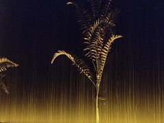 -春风里足道(娄桥店)