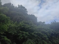 -野象谷景区