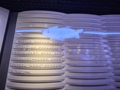 -白鹤梁水下博物馆