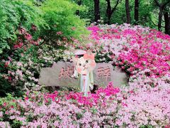 -惠山古镇·寄畅园